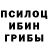 Псилоцибиновые грибы ЛСД B Hirsch