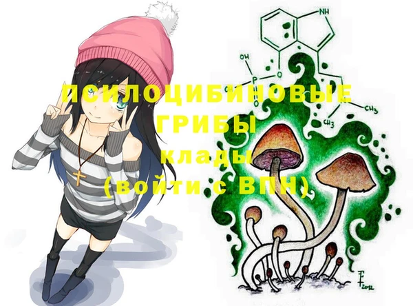 стафф Алексеевка