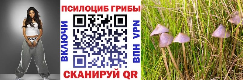 Псилоцибиновые грибы Psilocybe  наркотики  Нижняя Салда 